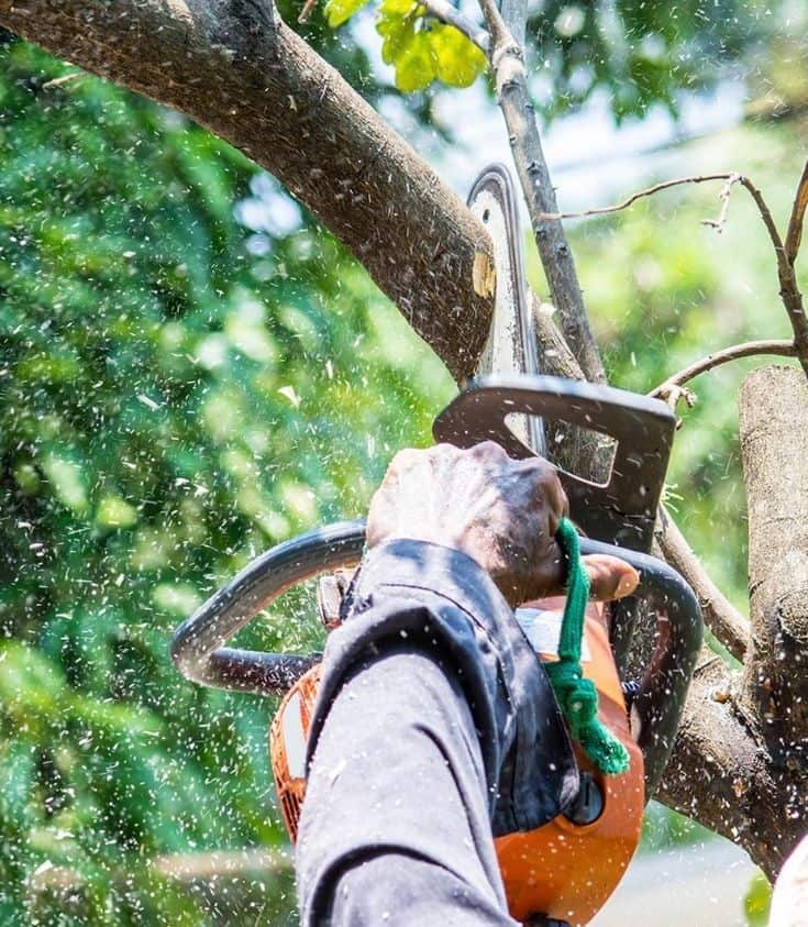K.O. Tree Services crew at work on commercial clearing project