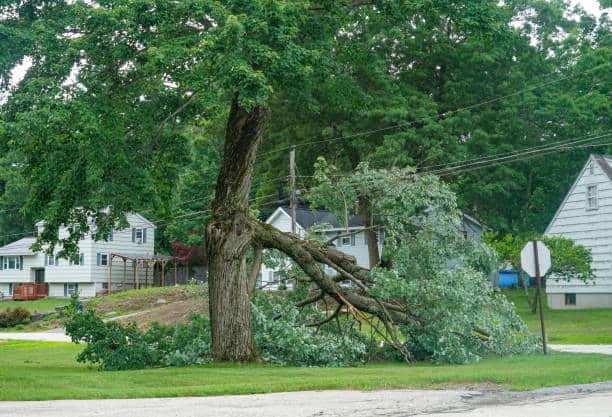 Emergency tree storm damage cleanup Charlotte NC
