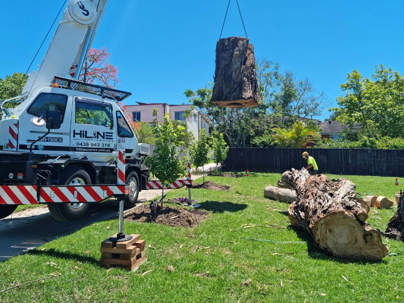 Stump grinding and removal Charlotte NC